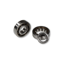 ROULEMENTS DE VILEBREQUIN CARTER MALOSSI RC-ONE 47X20X14MM