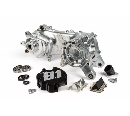 Carter 8.1 Fireblade 100 Piaggio Roue 10″ OPU014 | ScooterGP