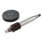 TRANSMISSION PRIMAIRE JASIL MBK BOOSTER - NITRO 14-42