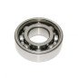 Roulement 6203 ( 17x40x12 ) axe primaire de transmission Nitro / Booster