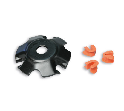 Variateurs - accessoires Malossi calotte guide rouleaux multivar