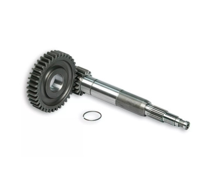 Transmission primaire Malossi 16/37 Piaggio Zip