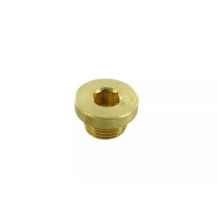 Obturateur de sonde de température à visser Stage6 R / T 70cc PT 1