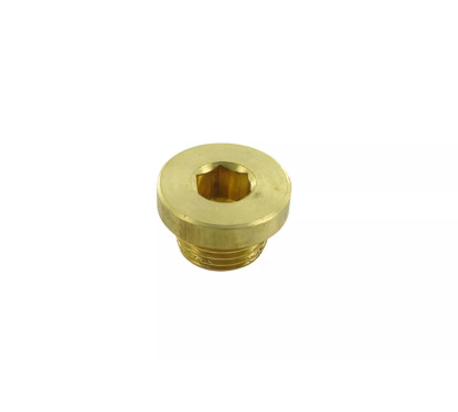 Obturateur de sonde de température à visser Stage6 R / T 70cc PT 1