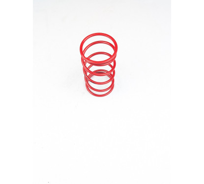 Ressorts de poussée Malossi rouge – Occasion – USED-0004-0005