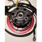 allumage  HPI universal pour MINARELLI 50ccm 2T AC/LC
