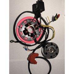 allumage  HPI universal pour MINARELLI 50ccm 2T AC/LC
