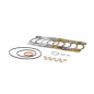 pochette de joints pour cylindre 100CC malossi testarossa FL
