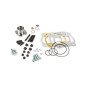 Kit cylindre STAGE6 R/T 100cc FLR