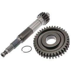 Engrenage primaire Malossi HTQ 14/39 – Transmission renforcée scooter 50cc