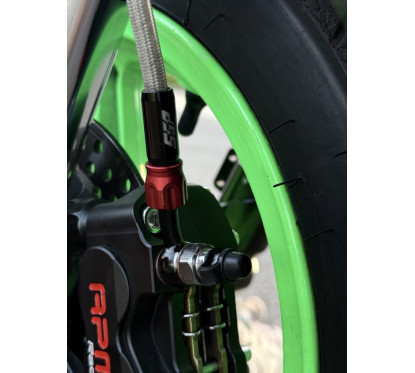 JOG SGP de location 1