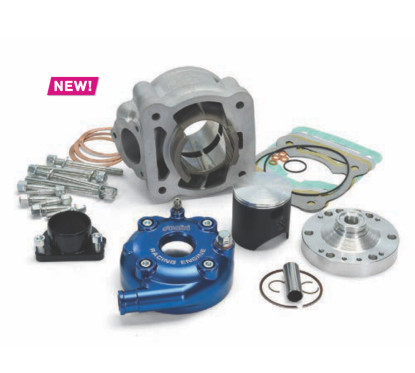 Cylindre POLINI PRE4 FL 100cc